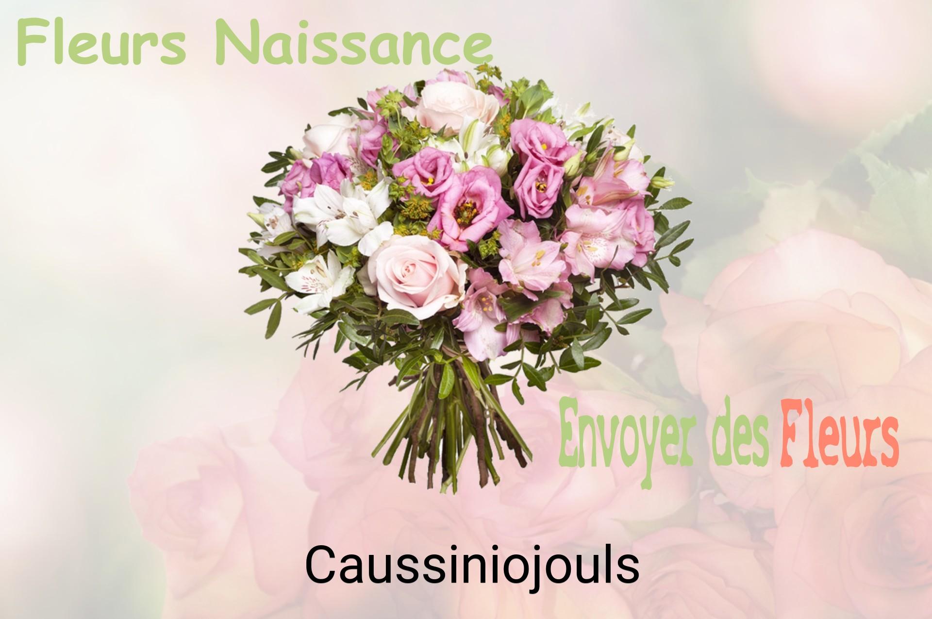 Bouquet de fleurs de naissance livré à Caussiniojouls
